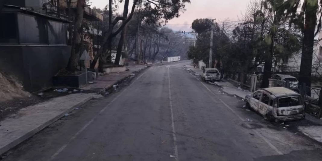 Güzelyalı'da yangının izleri: Bazı villalar tamamen yandı 7